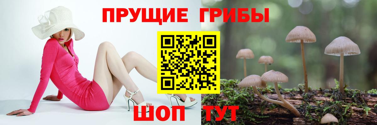 Чусовой  Псилоцибиновые грибы Psilocybe  Вход с VPN 